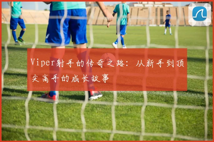 Viper射手的传奇之路：从新手到顶尖高手的成长故事
