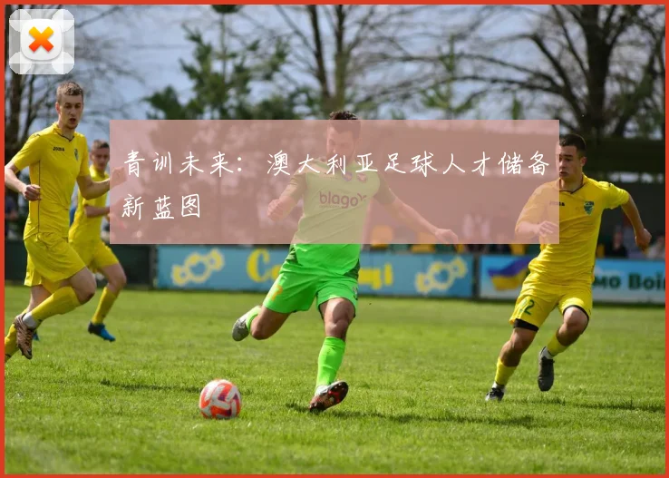 青训未来：澳大利亚足球人才储备新蓝图