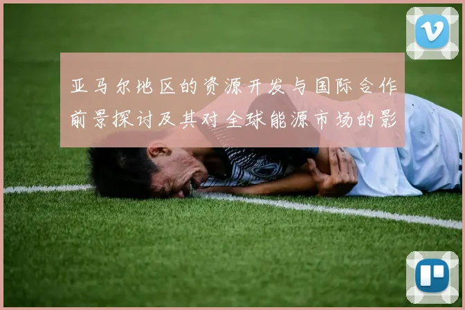 亚马尔地区的资源开发与国际合作前景探讨及其对全球能源市场的影响分析